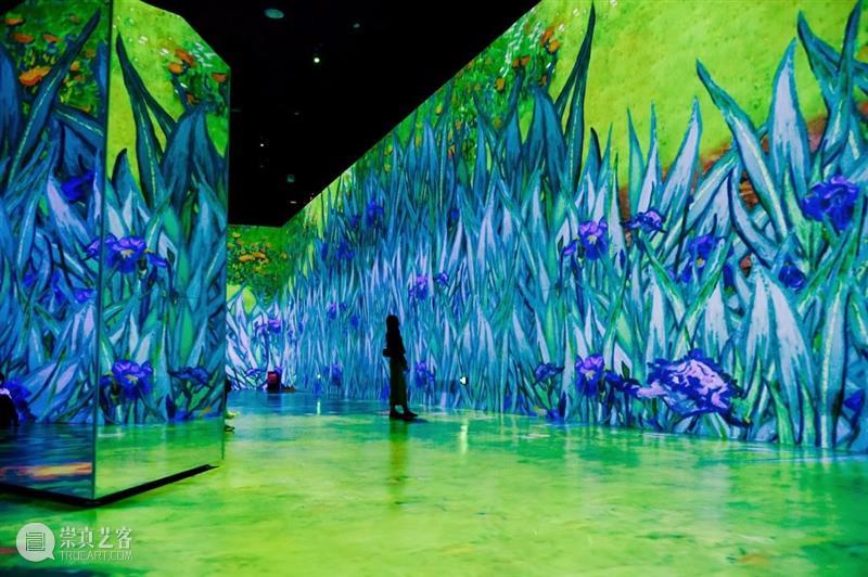 上海5月 | 15个不可错过的新媒体艺术展·演 崇真艺客