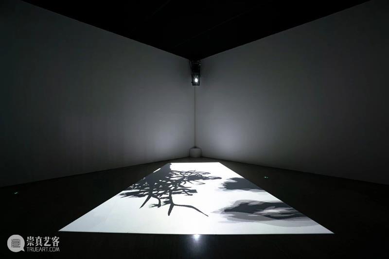 上海5月 | 15个不可错过的新媒体艺术展·演 崇真艺客