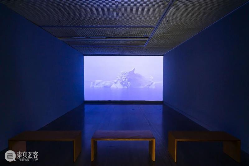 上海5月 | 15个不可错过的新媒体艺术展·演 崇真艺客