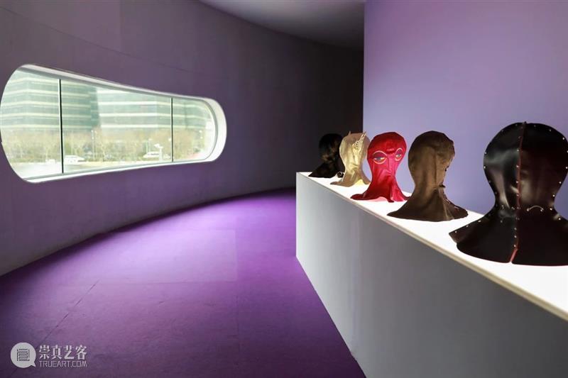上海5月 | 15个不可错过的新媒体艺术展·演 崇真艺客
