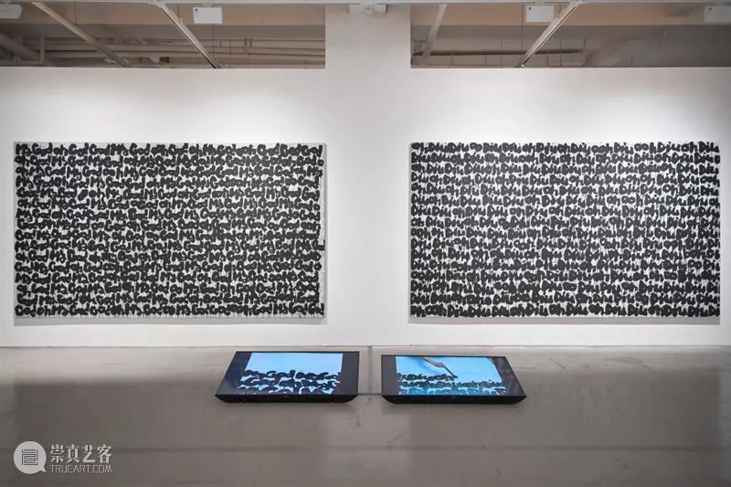 上海5月 | 15个不可错过的新媒体艺术展·演 崇真艺客