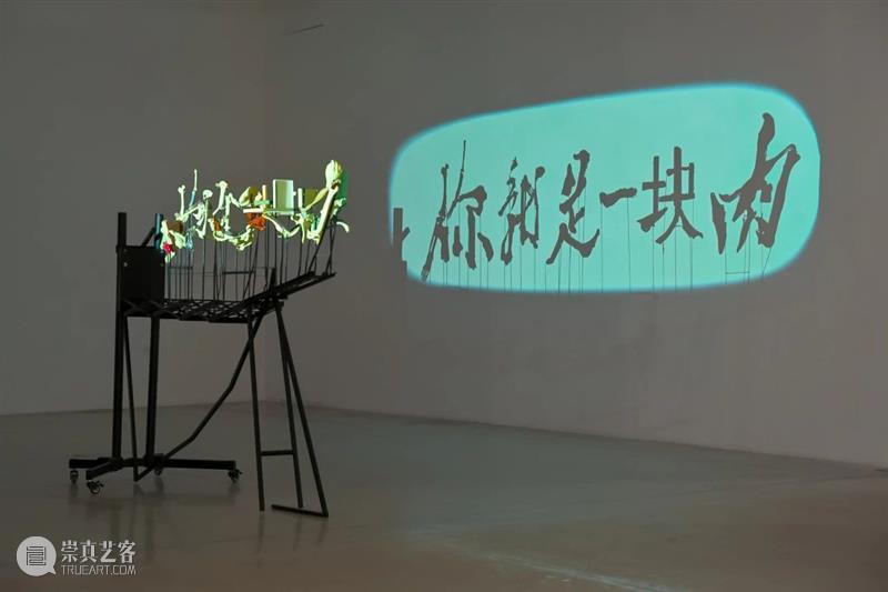 上海5月 | 15个不可错过的新媒体艺术展·演 崇真艺客