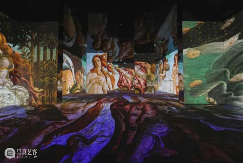 上海5月 | 15个不可错过的新媒体艺术展·演 崇真艺客