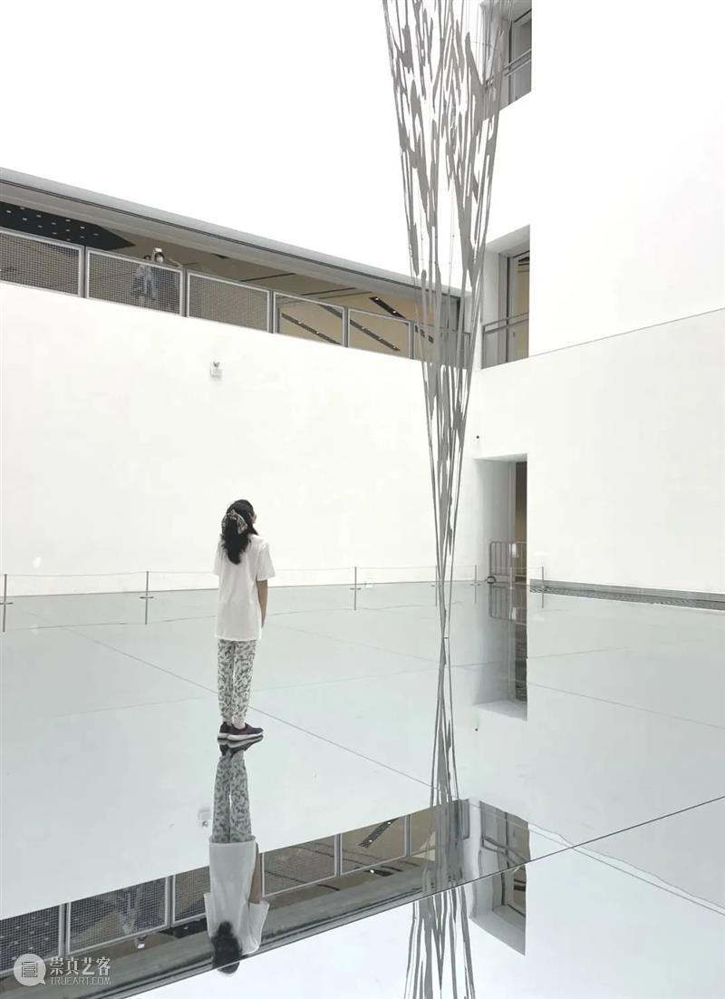 上海5月 | 15个不可错过的新媒体艺术展·演 崇真艺客
