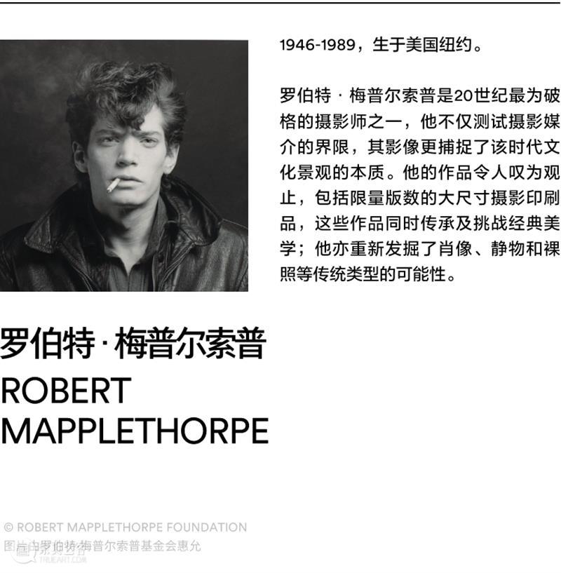 阿那亚大地艺术节官宣定档 | 以艺术之力，共赴山的未来 崇真艺客