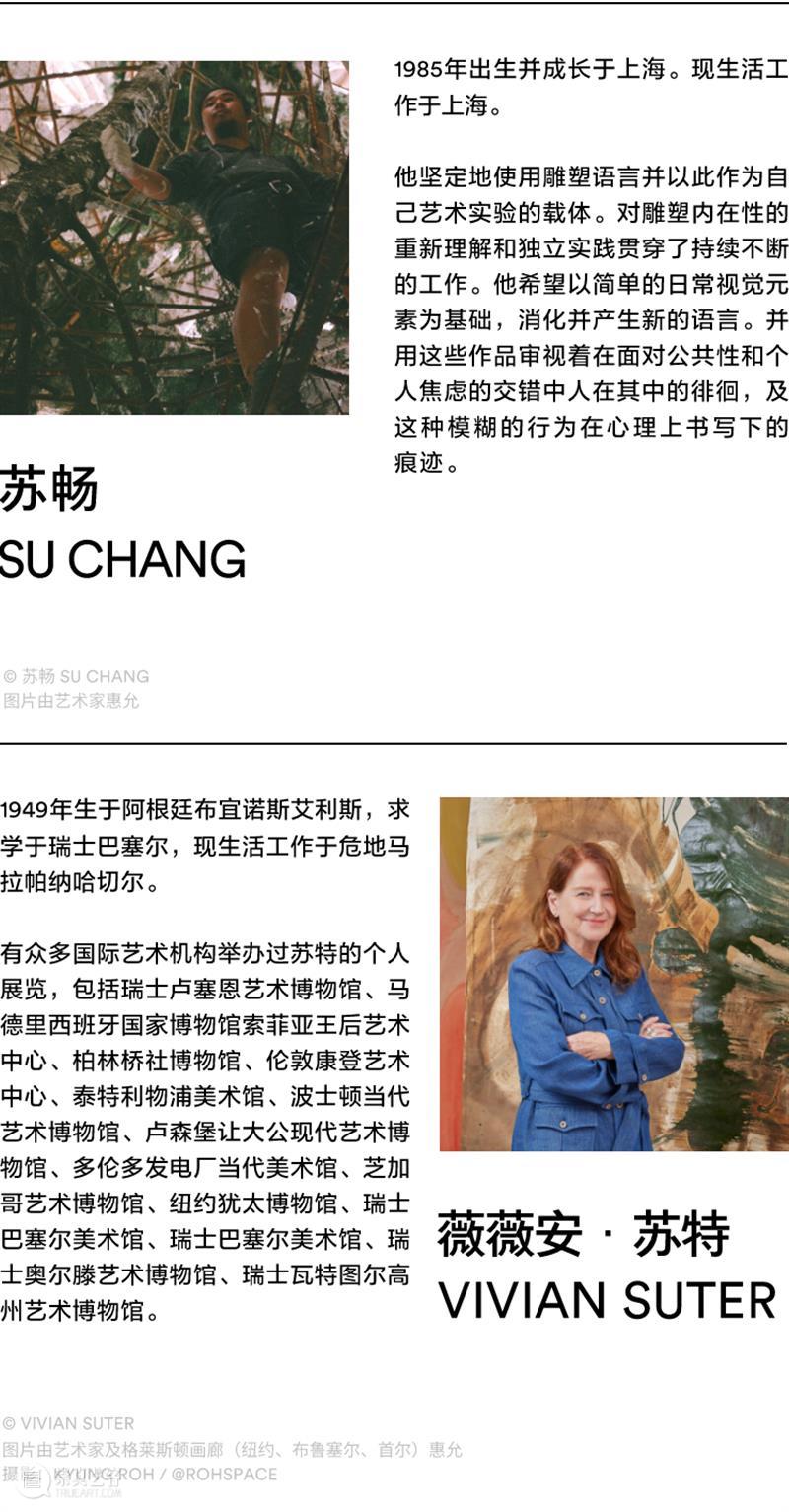 阿那亚大地艺术节官宣定档 | 以艺术之力，共赴山的未来 崇真艺客