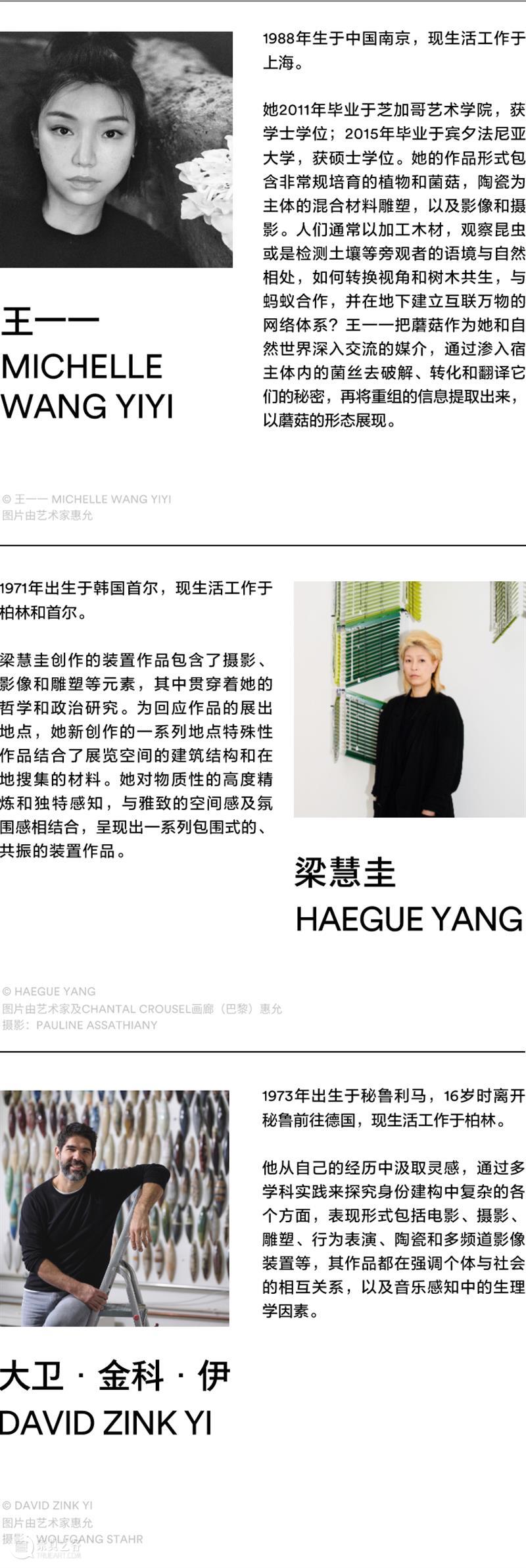 阿那亚大地艺术节官宣定档 | 以艺术之力，共赴山的未来 崇真艺客