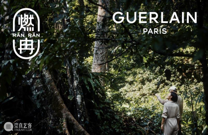 跨领域合作 | 娇兰 × “燃冉”: 循蜂而往,心之所向 崇真艺客