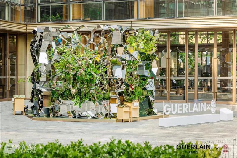 跨领域合作 | 娇兰 × “燃冉”: 循蜂而往,心之所向 崇真艺客