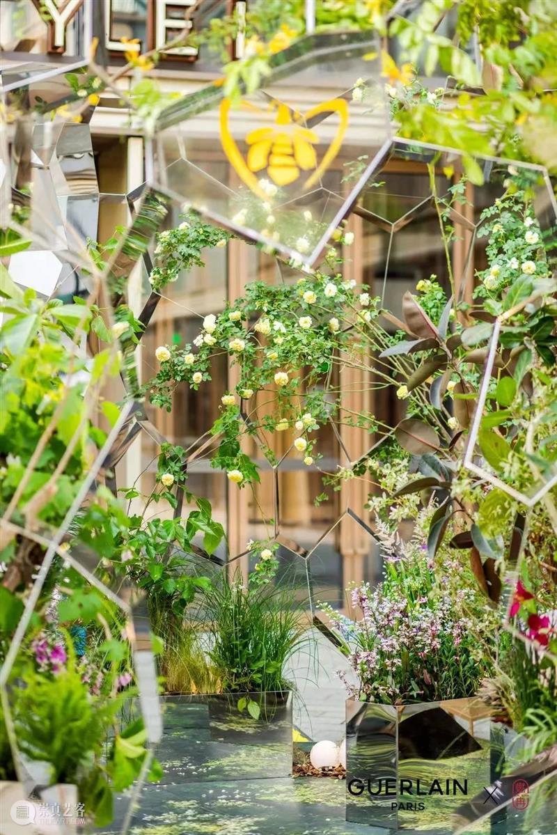 跨领域合作 | 娇兰 × “燃冉”: 循蜂而往,心之所向 崇真艺客