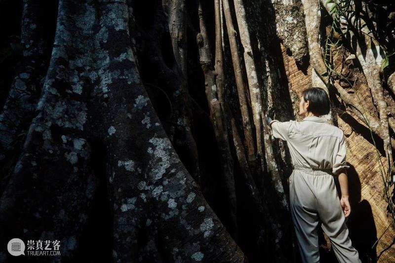 跨领域合作 | 娇兰 × “燃冉”: 循蜂而往,心之所向 崇真艺客