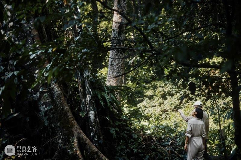 跨领域合作 | 娇兰 × “燃冉”: 循蜂而往,心之所向 崇真艺客