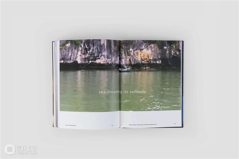 作品分享《中华何如？》| 郑明河  广东时代美术馆 崇真艺客