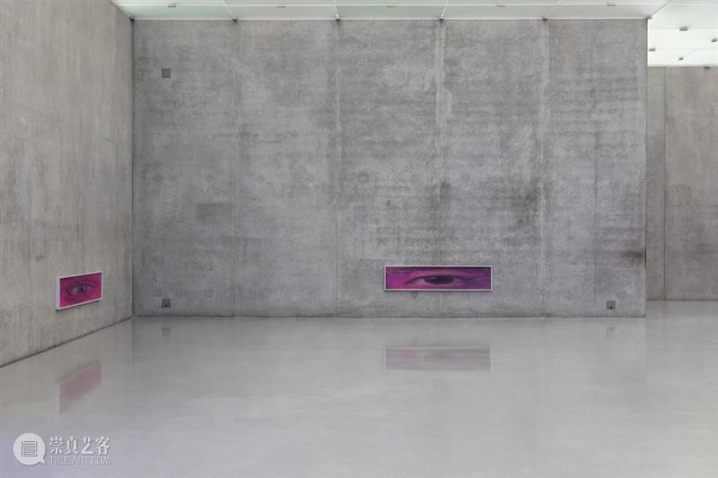 施布特-玛格画廊携帕梅拉·罗森克朗茨（Pamela Rosenkranz）个展参展2023纽约弗里兹 崇真艺客