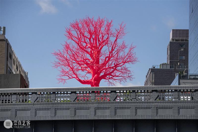 施布特-玛格画廊携帕梅拉·罗森克朗茨（Pamela Rosenkranz）个展参展2023纽约弗里兹 崇真艺客