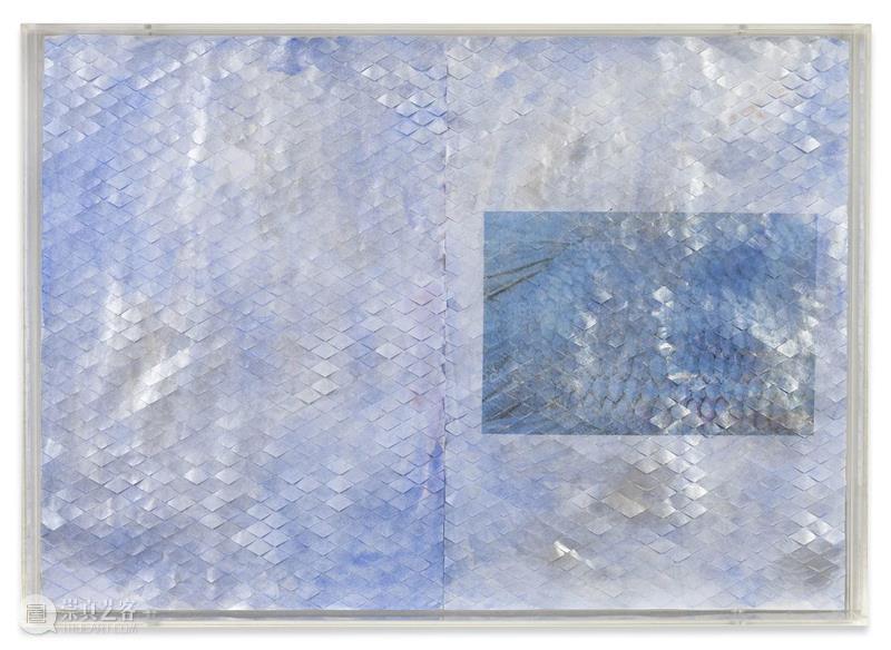 施布特-玛格画廊携帕梅拉·罗森克朗茨（Pamela Rosenkranz）个展参展2023纽约弗里兹 崇真艺客