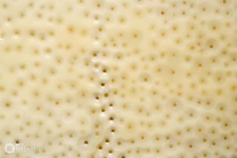 #木星Talk回顾 |  《物质与意义》 吴帆&李美京的艺术之旅学术讲座与对话 崇真艺客