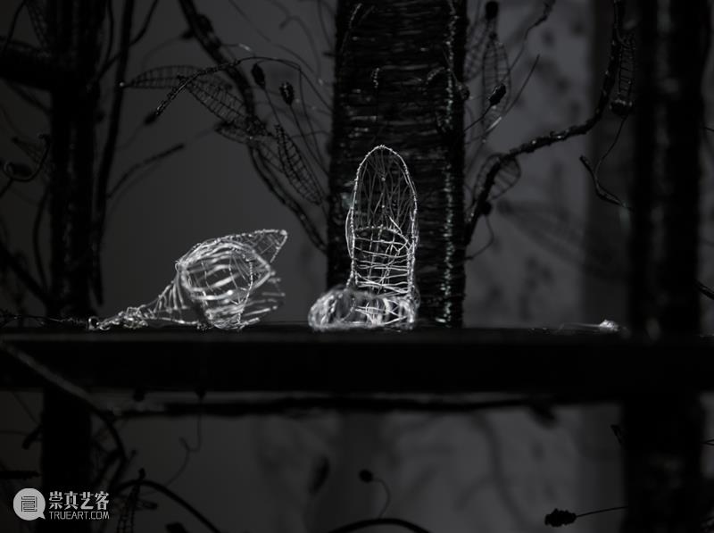 #木星Talk回顾 |  《物质与意义》 吴帆&李美京的艺术之旅学术讲座与对话 崇真艺客