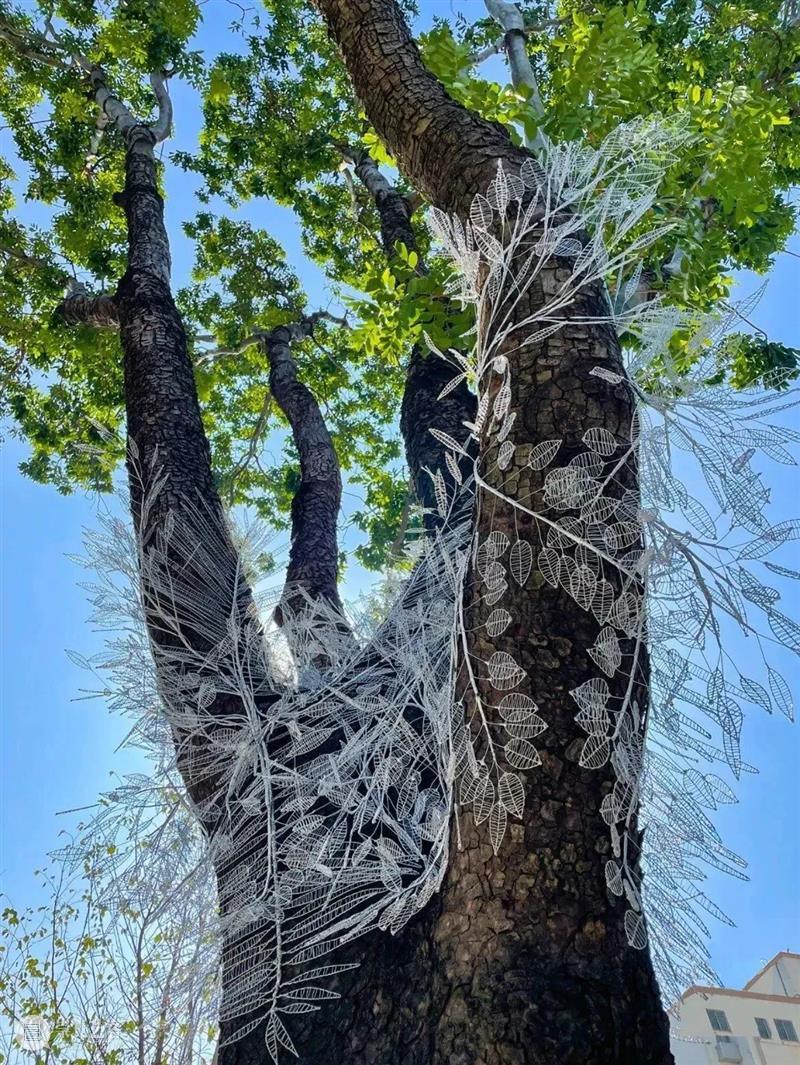 #木星Talk回顾 |  《物质与意义》 吴帆&李美京的艺术之旅学术讲座与对话 崇真艺客