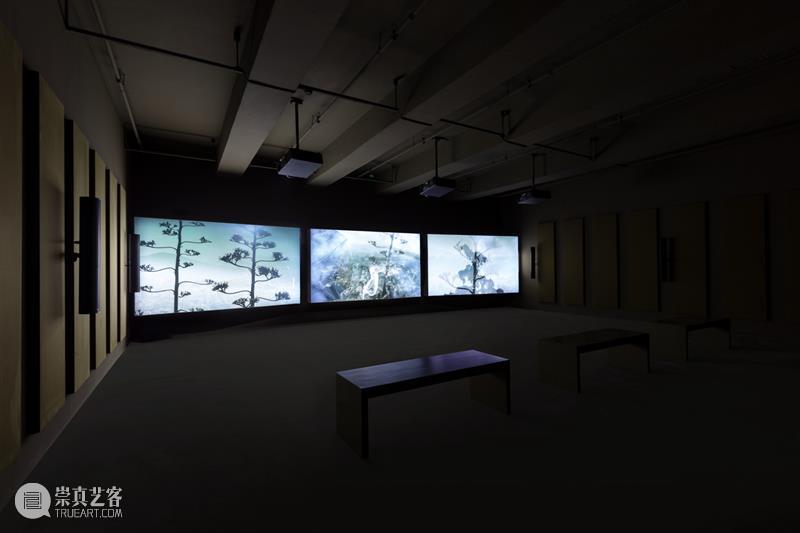 正在展出 | 里森北京 | 劳伦斯·韦纳 (Lawrence Weiner) & 约翰·亚康法 (John Akomfrah) 崇真艺客