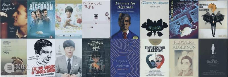 作品赏析｜《献给阿尔吉侬》背后的故事 视频资讯 W.ONESPACE 崇真艺客