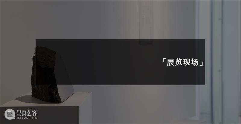 作品赏析｜《献给阿尔吉侬》背后的故事 视频资讯 W.ONESPACE 崇真艺客