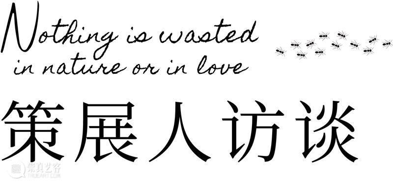 奇岚策展 | 万物皆相见 —— 自然和爱，不辜负任何事物。 视频资讯 沈奇岚 崇真艺客