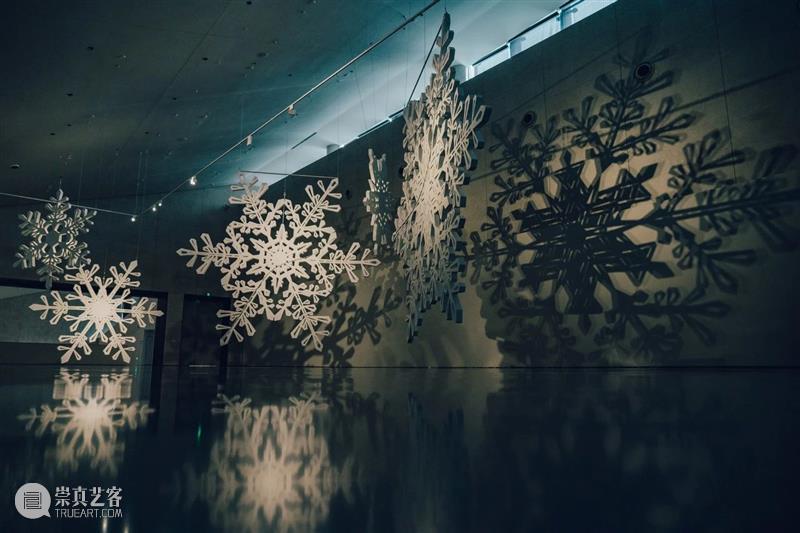 奇岚策展 | 万物皆相见 —— 自然和爱，不辜负任何事物。 视频资讯 沈奇岚 崇真艺客