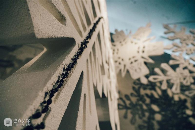 奇岚策展 | 万物皆相见 —— 自然和爱，不辜负任何事物。 视频资讯 沈奇岚 崇真艺客