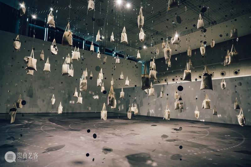 奇岚策展 | 万物皆相见 —— 自然和爱，不辜负任何事物。 视频资讯 沈奇岚 崇真艺客