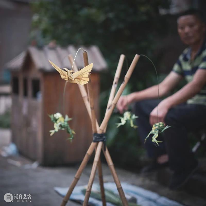 奇岚策展 | 万物皆相见 —— 自然和爱，不辜负任何事物。 视频资讯 沈奇岚 崇真艺客