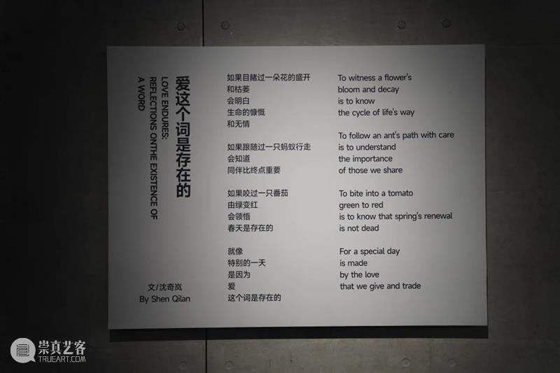 奇岚策展 | 万物皆相见 —— 自然和爱，不辜负任何事物。 视频资讯 沈奇岚 崇真艺客