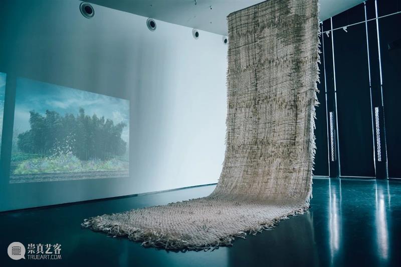 奇岚策展 | 万物皆相见 —— 自然和爱，不辜负任何事物。 视频资讯 沈奇岚 崇真艺客