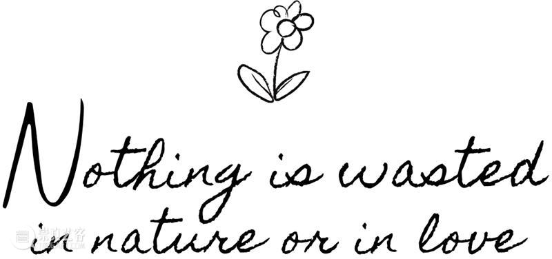 奇岚策展 | 万物皆相见 —— 自然和爱，不辜负任何事物。 视频资讯 沈奇岚 崇真艺客