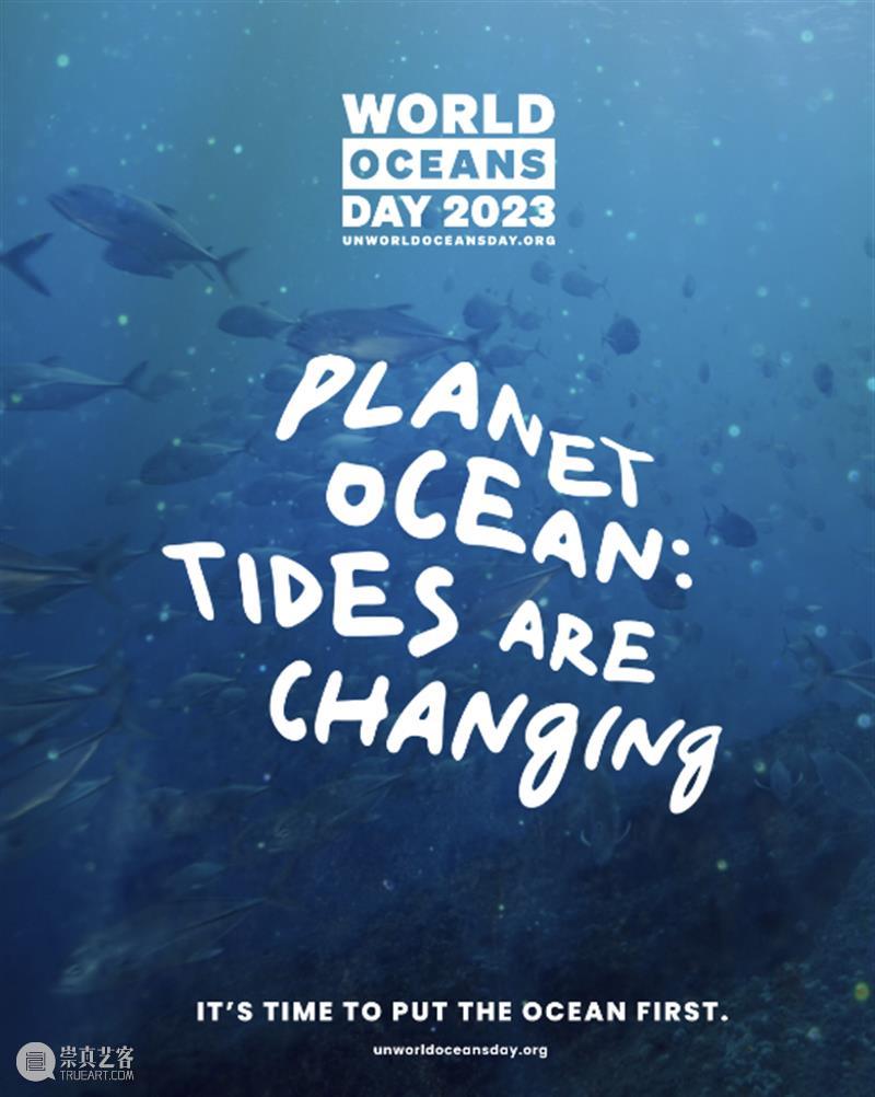 北冰洋，不冰了 崇真艺客