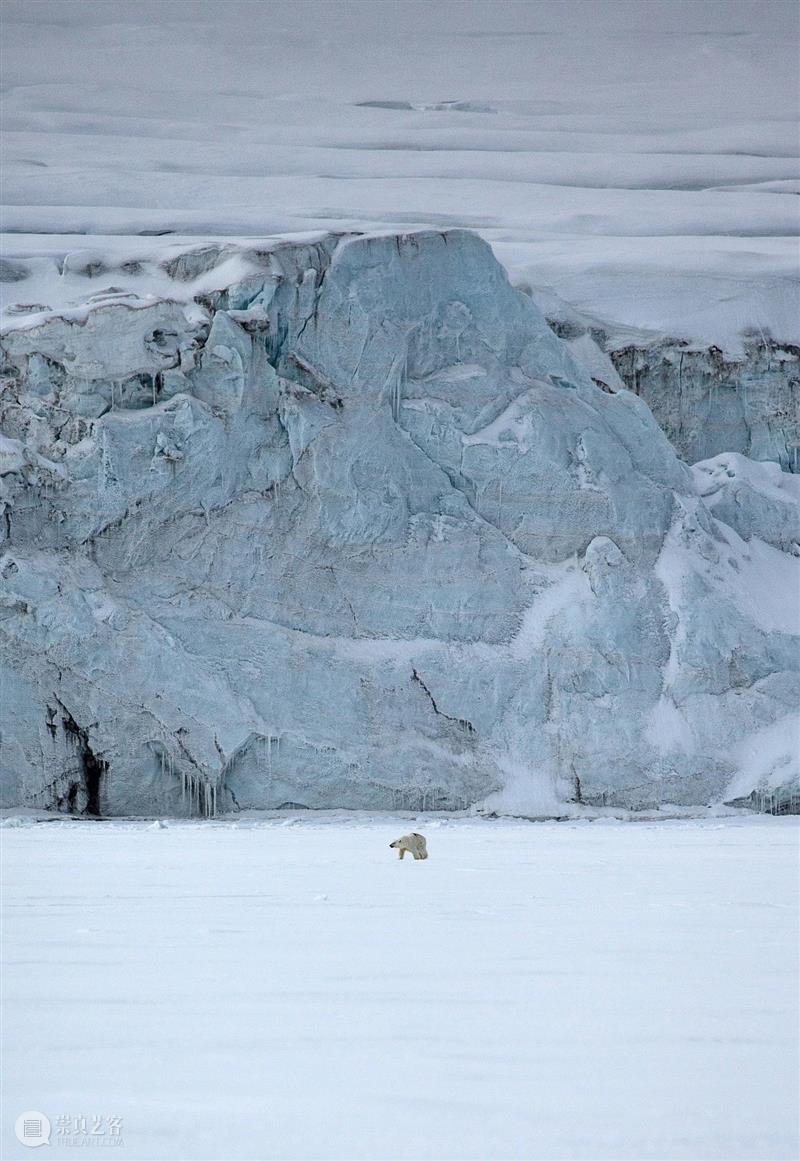 北冰洋，不冰了 崇真艺客