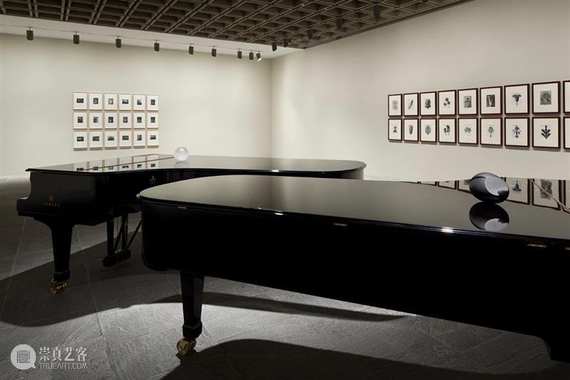 谢丽·利文(Sherrie Levine):再“仿”皮特·蒙德里安 崇真艺客