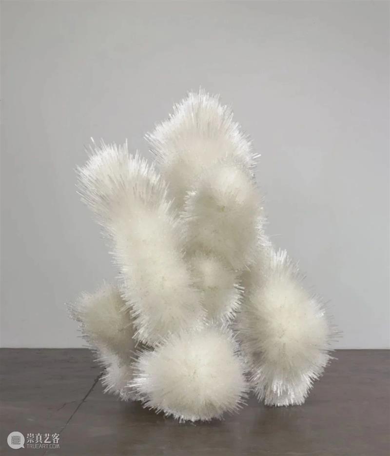 【IFA-艺术欣赏】塔拉·多诺万  | 重复的浪漫秩序 崇真艺客