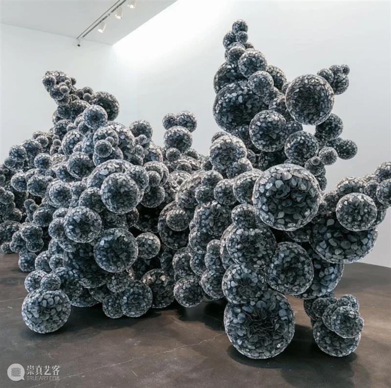 【IFA-艺术欣赏】塔拉·多诺万  | 重复的浪漫秩序 崇真艺客