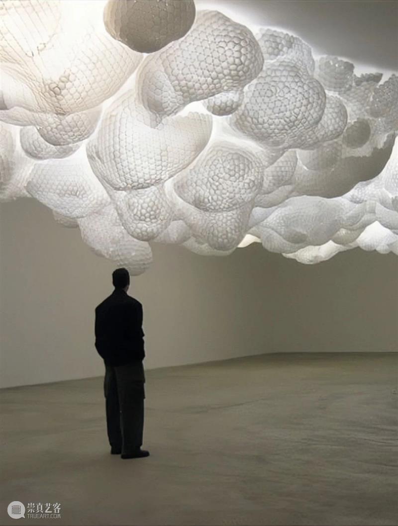 【IFA-艺术欣赏】塔拉·多诺万  | 重复的浪漫秩序 崇真艺客