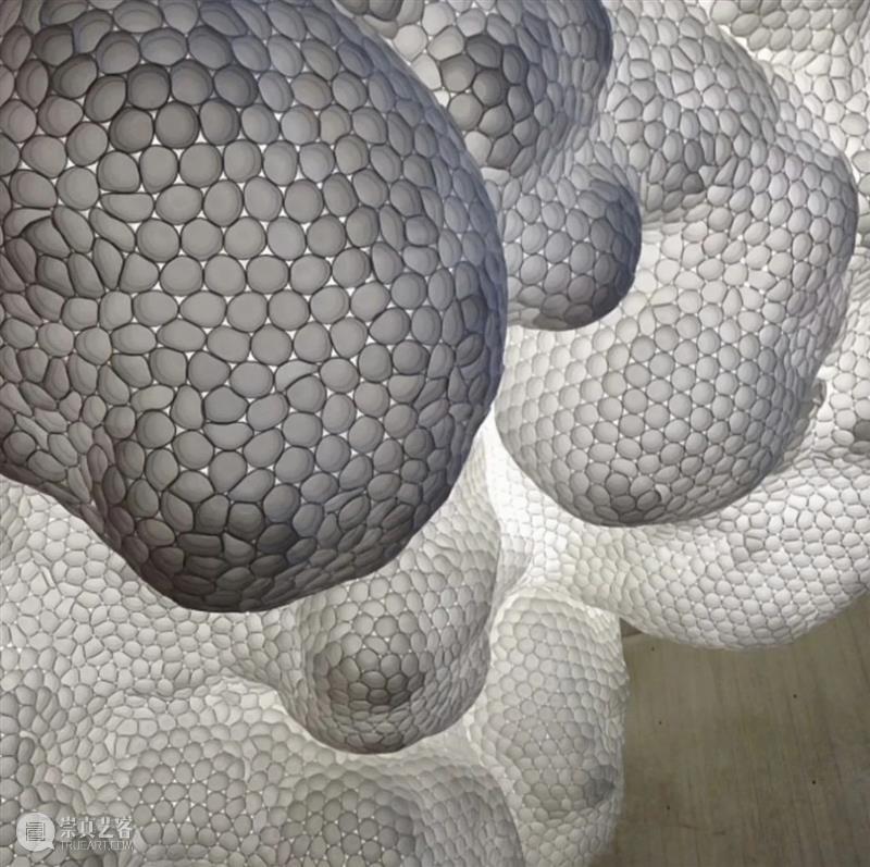 【IFA-艺术欣赏】塔拉·多诺万  | 重复的浪漫秩序 崇真艺客