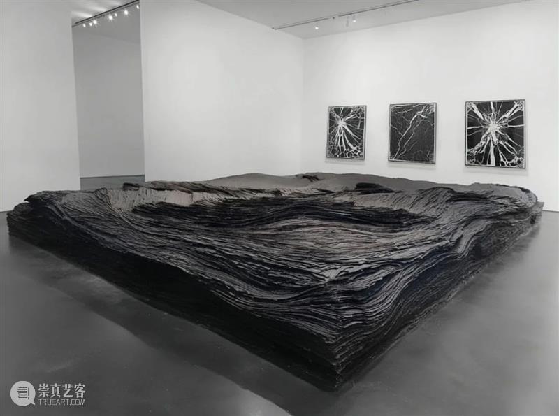 【IFA-艺术欣赏】塔拉·多诺万  | 重复的浪漫秩序 崇真艺客