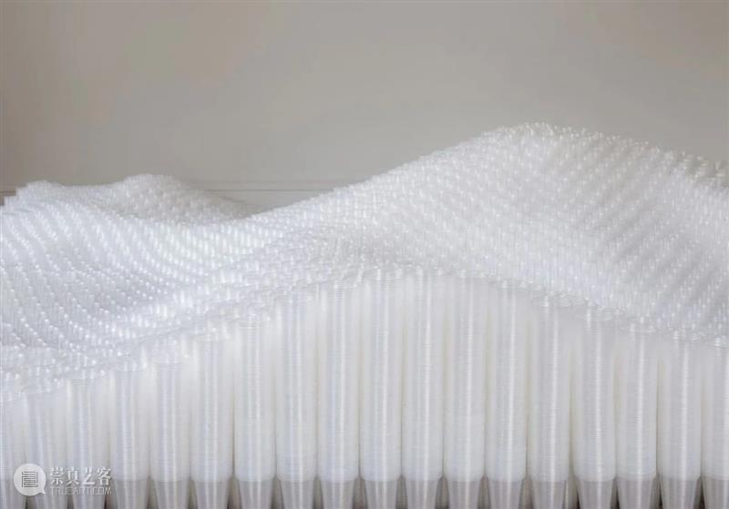 【IFA-艺术欣赏】塔拉·多诺万  | 重复的浪漫秩序 崇真艺客