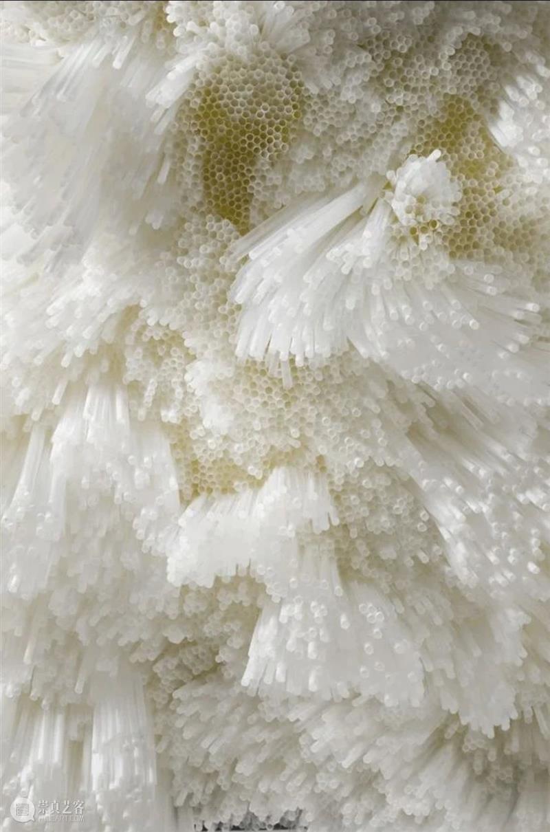 【IFA-艺术欣赏】塔拉·多诺万  | 重复的浪漫秩序 崇真艺客