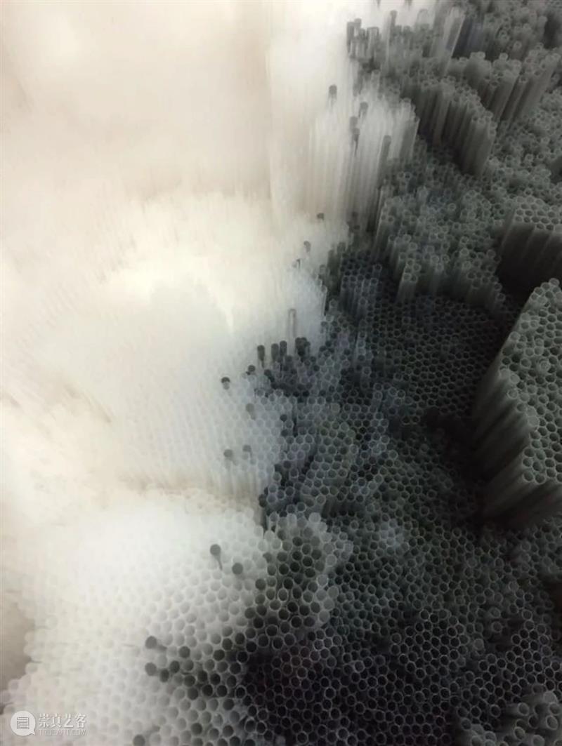 【IFA-艺术欣赏】塔拉·多诺万  | 重复的浪漫秩序 崇真艺客