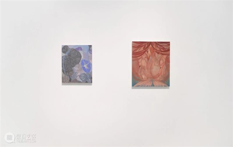 索卡北京 | “幻月之灵”艺术家 | 王子平、梁娅杰、裴彦清 崇真艺客