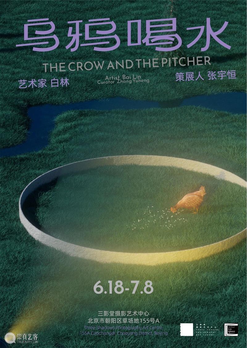 【展讯】白林个展“乌鸦喝水”——青年艺术家陪跑计划｜北京 崇真艺客