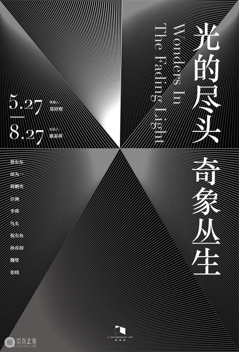 业界视角 | 六月全球影像艺术动态盘点 崇真艺客