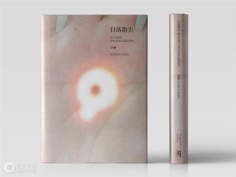 业界视角 | 六月全球影像艺术动态盘点 崇真艺客