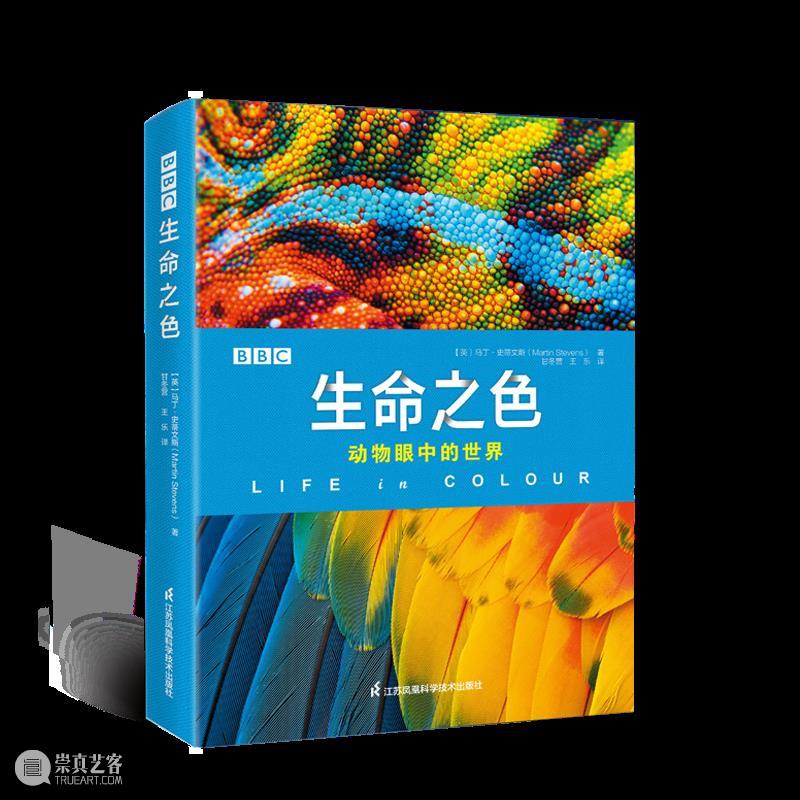 海洋巨兽的奇怪觅食方式 崇真艺客